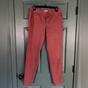 Market & Spruce Brick Red Chinos